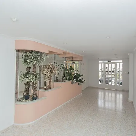 132 Green House-alicante Holiday * 또레비에하